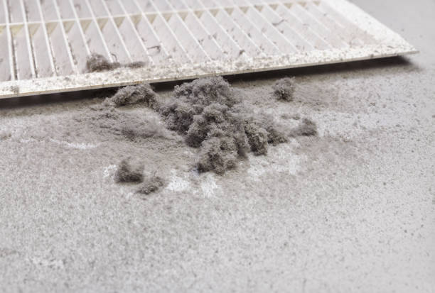 Professional Airduct Cleaning in Castaic, CA